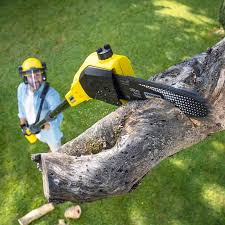 Trusted Turpin Hills, OH Tree Services Experts